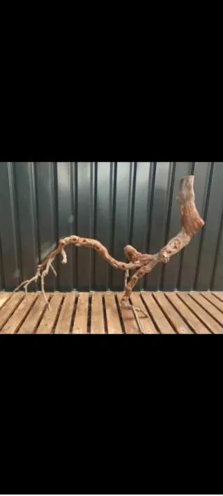 Raíz/tronco Decoración acuario OFERTA SOLO HOY!