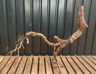 Raíz/tronco Decoración acuario OFERTA SOLO HOY!