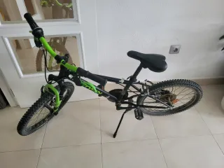 Bicicleta niño Rin 20