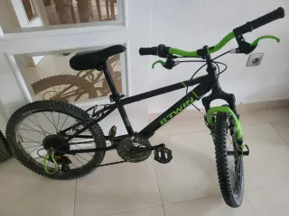 Bicicleta niño Rin 20