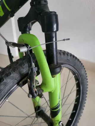 Bicicleta niño Rin 20