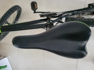 Bicicleta niño Rin 20