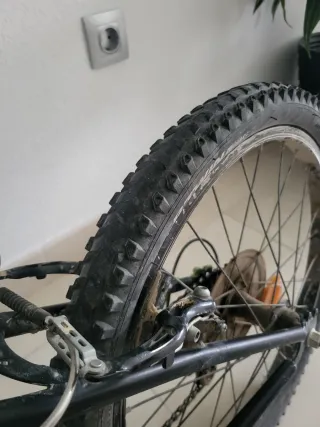 Bicicleta niño Rin 20