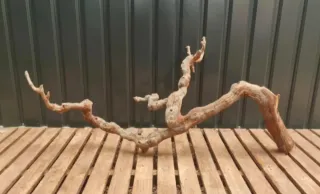 Raíz/tronco Decoración acuario OFERTA SOLO HOY!