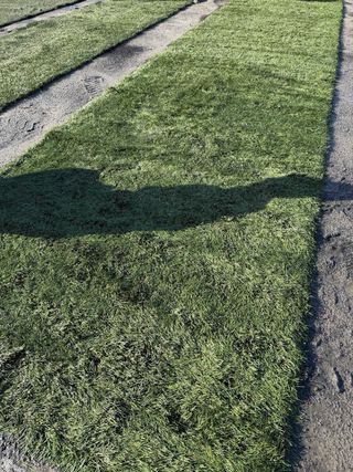 Venta de cesped artificial