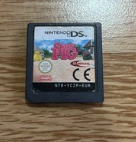 Gioco Nintendo DS Pig