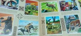 Álbum Cromhistoria Completo 1967