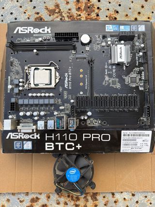 ASRock H110 Pro BTC+ Placa Base
