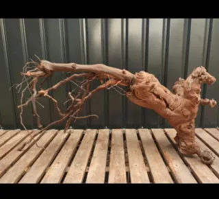 Raíz/tronco Decoración acuario OFERTA SOLO HOY!