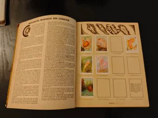 Álbum Cromos Curiosidades del Universo - Nestlé