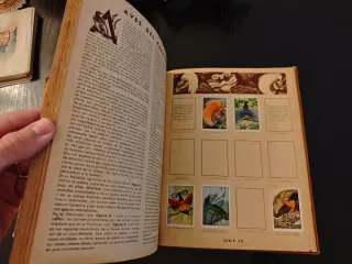 Álbum Cromos Curiosidades del Universo - Nestlé