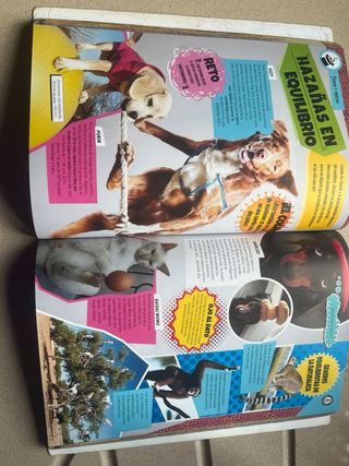 Guinness World Records. Animales