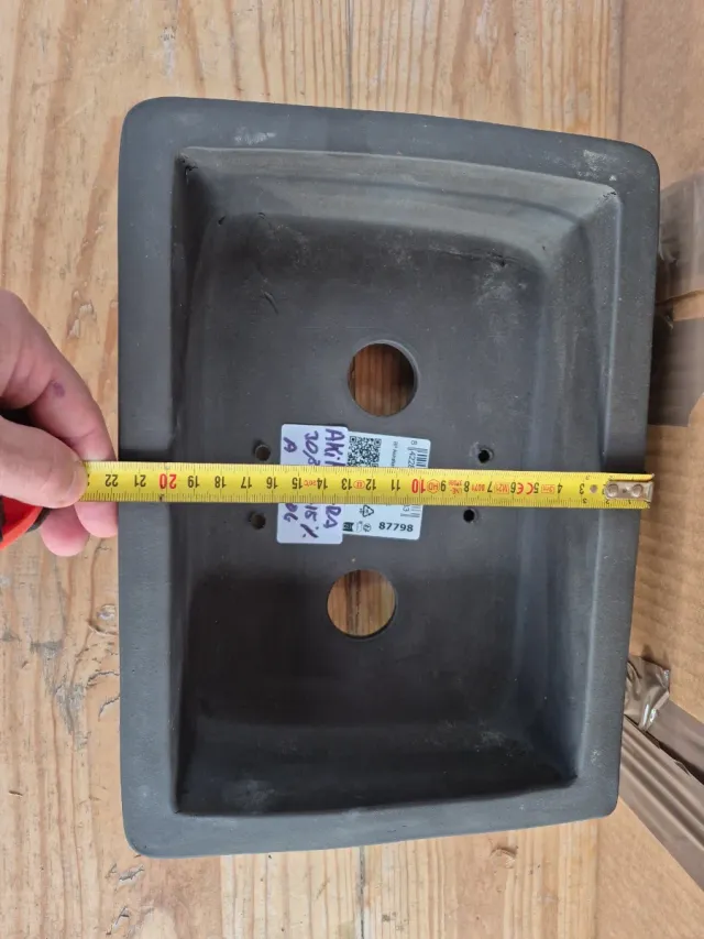 Tiesto Bonsái Tiesto Akihabara 30.5cm