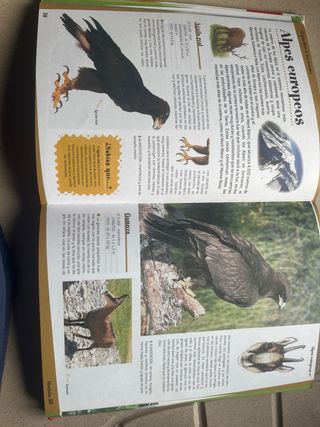 El gran libro de los animales