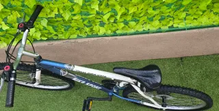 Bicicleta de montaña TEAM PRO 4210  ‼️MuyPocoUso‼️