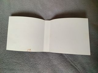 Pokémon Perla Nintendo DS PAL ESP