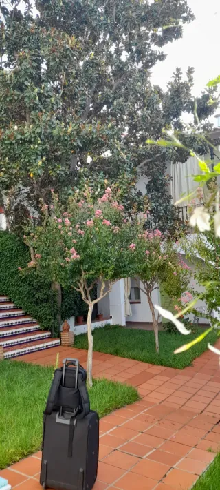 Esquís y botas Rossignol