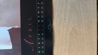 Calendario Michael Jackson 1994 Oficial Danilo