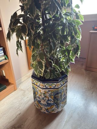 Maceta cerámica andaluza con ruedas