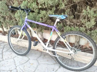 Bicicleta de Montaña Morada y Blanca
