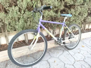 Bicicleta de Montaña Morada y Blanca