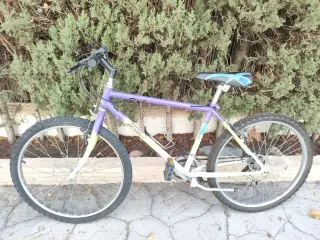 Bicicleta de Montaña Morada y Blanca