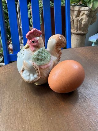 GALLINA SALERO PIMENTERO.