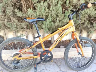 Bicicleta de Montaña Megamo 20