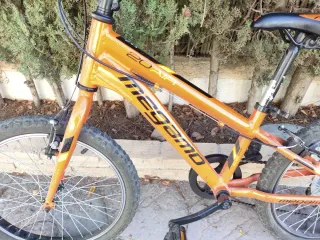 Bicicleta de Montaña Megamo 20