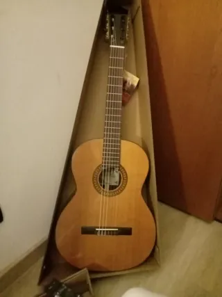 Chitarra in custodia