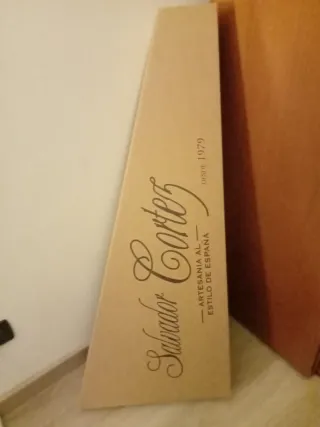 Chitarra in custodia