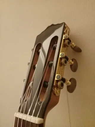 Chitarra in custodia