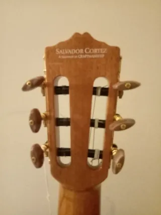 Chitarra in custodia