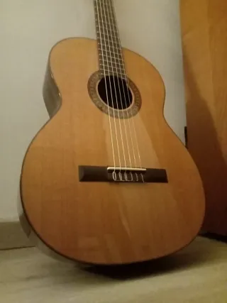 Chitarra in custodia