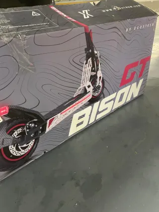 Patinete Eléctrico Ecoxtrem Bison GT