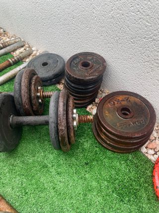 Gimnasio completo de Hierro Fundido -Salter/Domyos