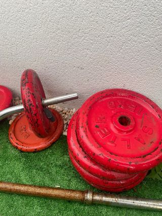 Gimnasio completo de Hierro Fundido -Salter/Domyos