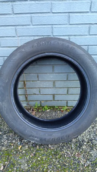 2 Neumáticos Goodyear EfficientGrip Performance