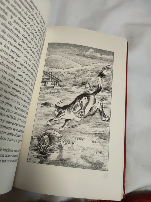 Libro Memorias de un Gato Tonto