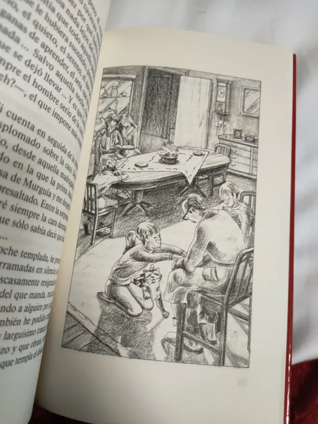 Libro Memorias de un Gato Tonto