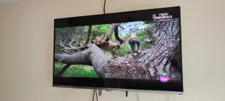 Televisor Samsung 40' Negro/Plata