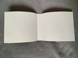 Pokémon Diamante Nintendo DS PAL ESP