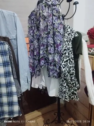 10 Camisas de vestir