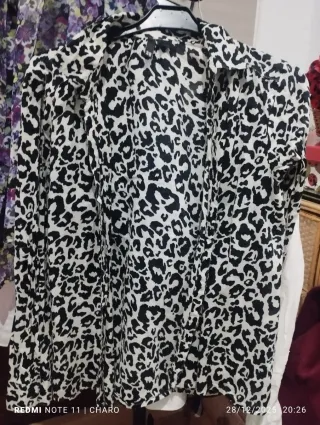 10 Camisas de vestir