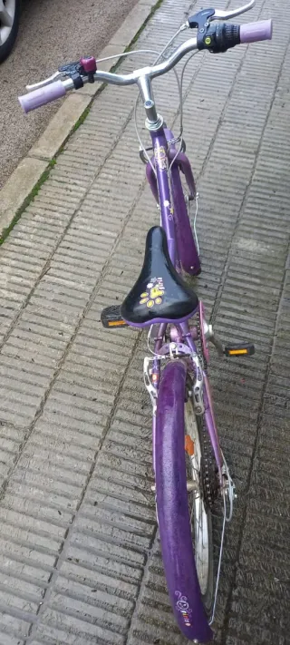 Bicicleta morada infantil