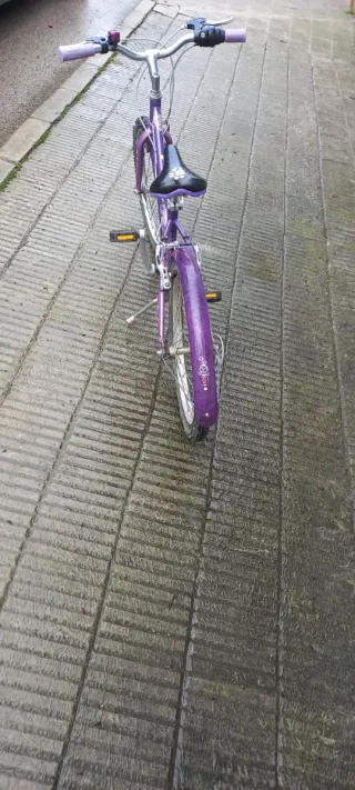 Bicicleta morada infantil