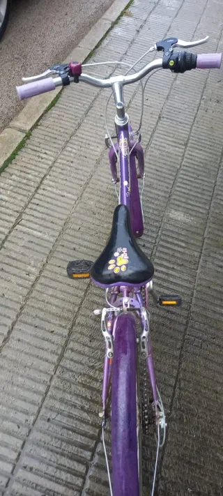 Bicicleta morada infantil