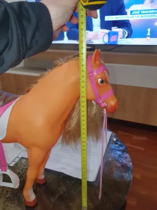 Caballo de Nancy