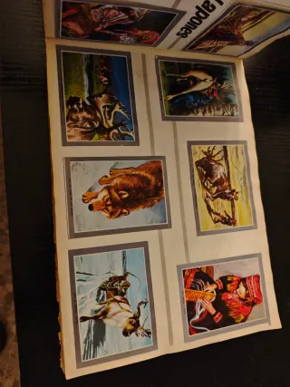 Álbum Vida y Color 2 (faltan 3 cromos)