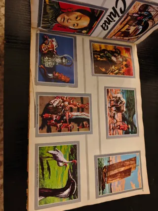 Álbum Vida y Color 2 (faltan 3 cromos)